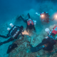 The divers excavated occasionally by hand-fanning the sediments, with bright lights illuminating the scene. (Image: Brett Seymour EUA / Lund University / ARGO NGO)